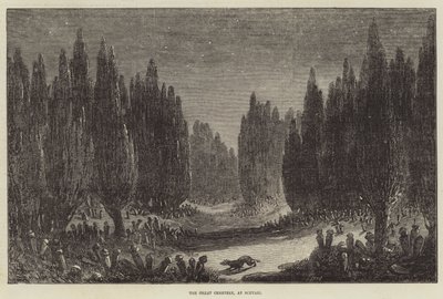 Le Grand Cimetière, à Scutari - Samuel Read